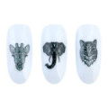 Adesivi ad acqua - Water sticker - NN23